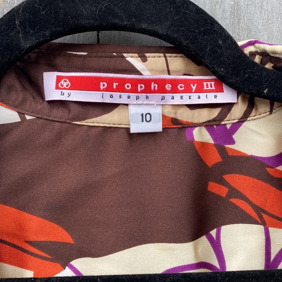 Prophecy by Joseph Pascale - Picture 2 of 11